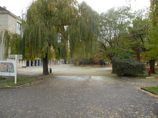  cour du Lycée Marie de Champagne